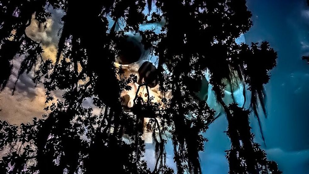 Dead of Night Ghosts and Cemetery Bus Tour