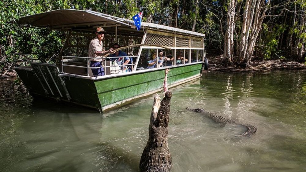 Hartley's Crocodile Adventures Day Trip from Palm Cove