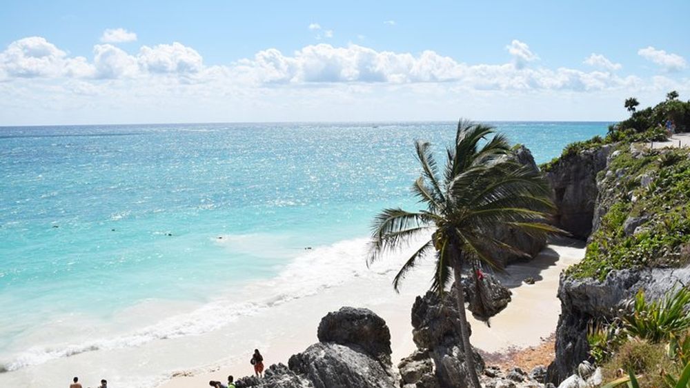 Tulum Ruins, Turtles in Akumal and Cenote tour