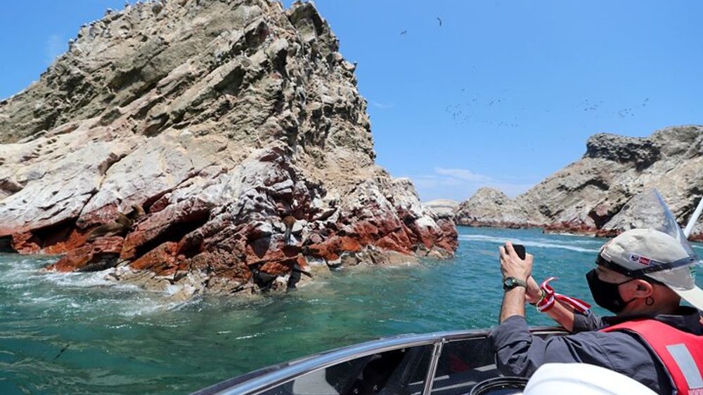 PARACAS! Ballestas Islands + Paracas National Reserve + Candelabro and much more