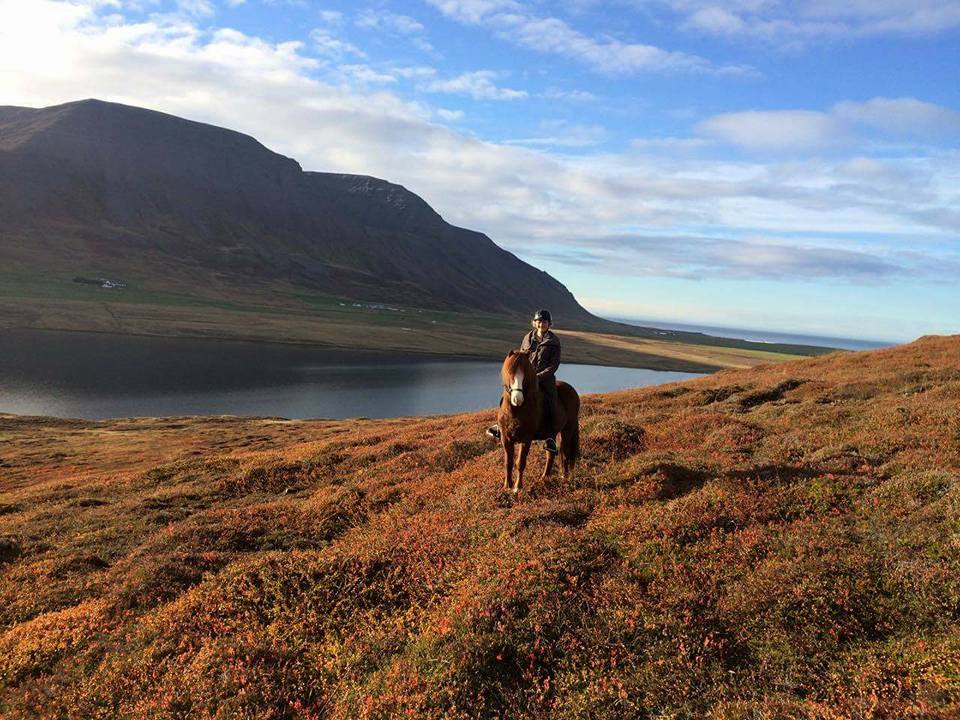 Nature and peace ride (1 hour tour for groups).