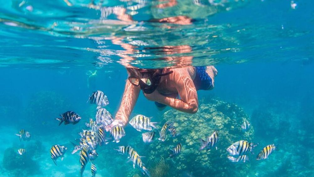 Visit The 5 Best Places In Islas Del Rosario & Baru By Sport Boat