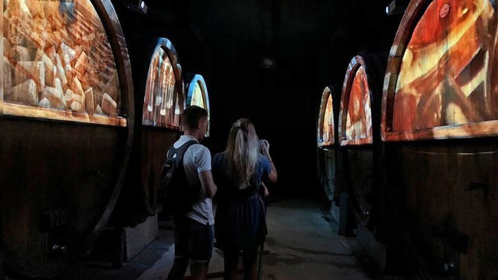 Strasbourg Wine Cellar Guided Tour With Wine & Brioche Tasting