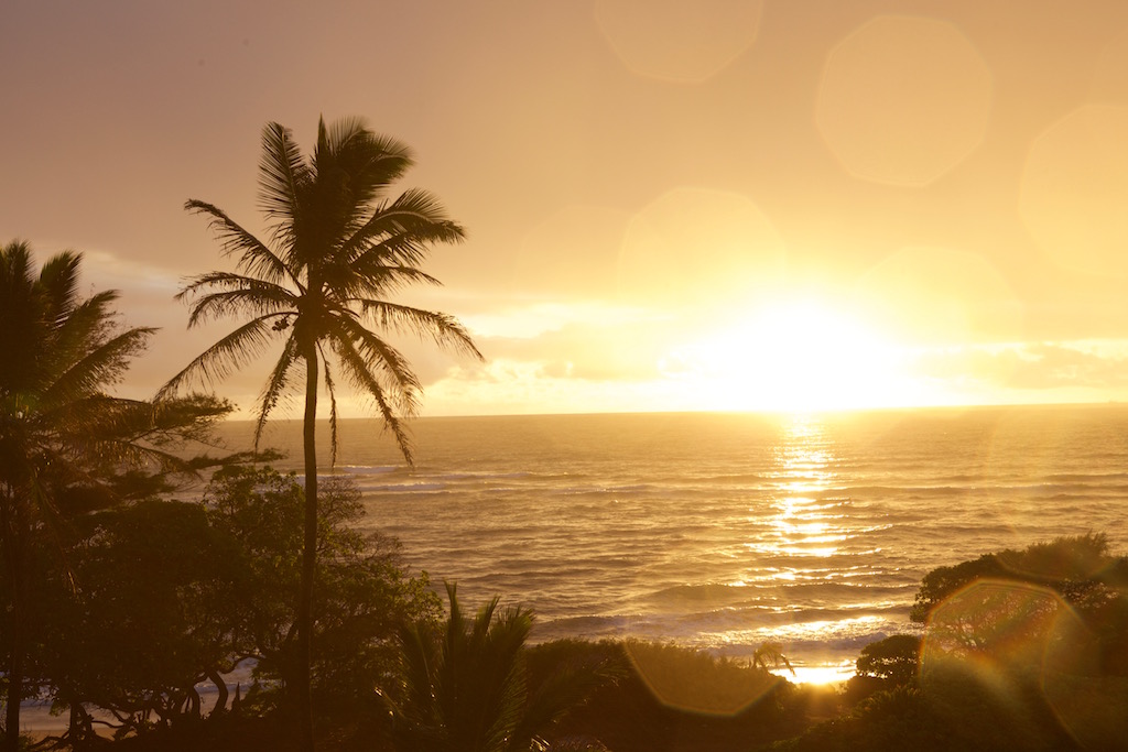 Hawaii - Adventuring in the South Pacific - 2018 English