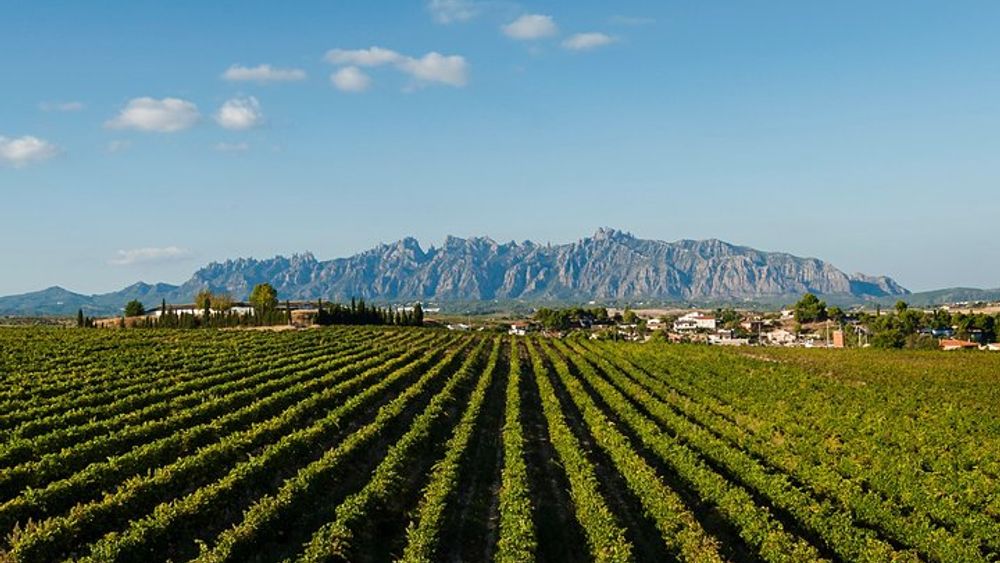 Barcelona to Montserrat and Penedes Small-Group Full-Day Tour