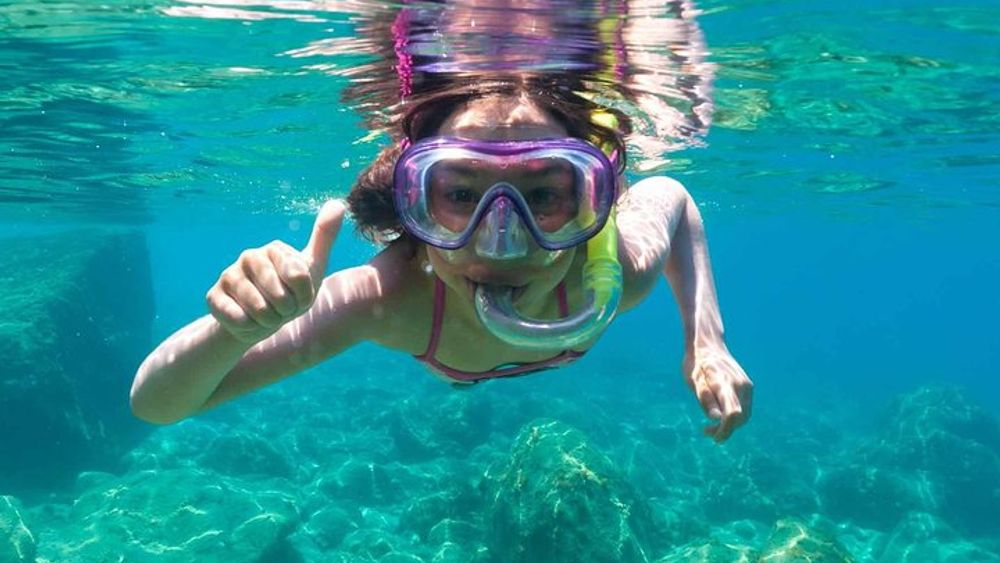 Bali Blue Lagoon Full-Day Snorkeling Experience plus Lunch