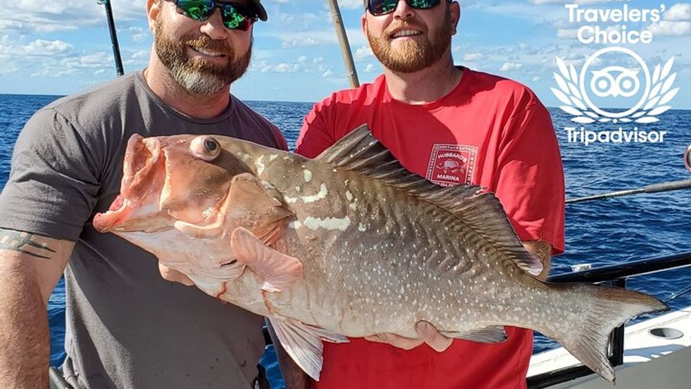 John’s Pass Full-Day Deep Sea Fishing Adventure Tour
