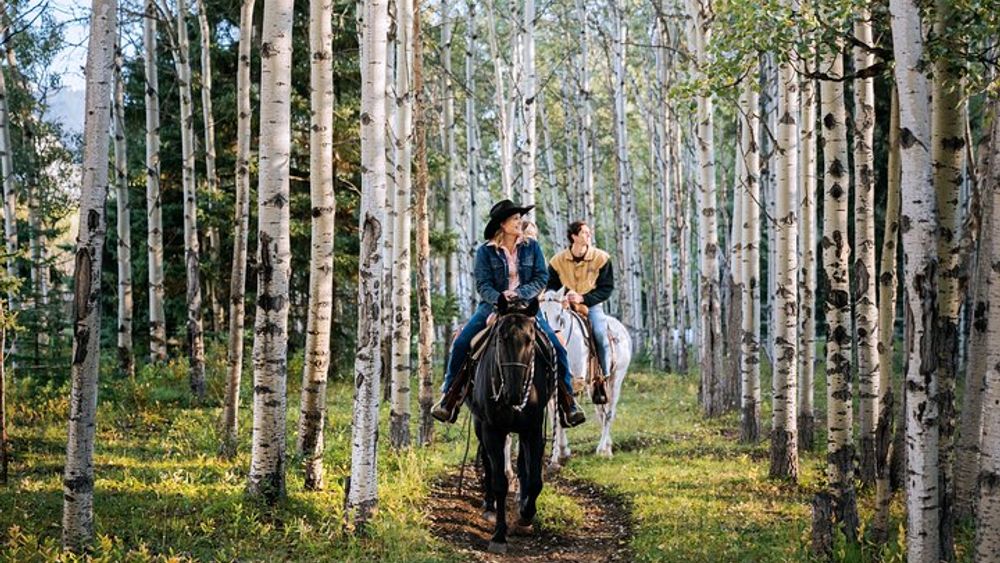 Calgary Private 1.5-Hour Horseback Trail Ride in Kananaskis