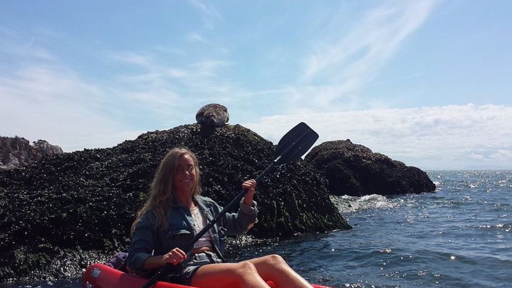 Howe Sound Boat Cruise and Kayak Tour