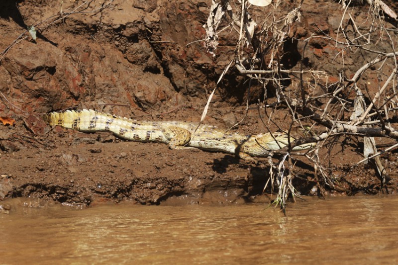 Puerto Maldonado Amazon Eco-Lodge 4D/3N