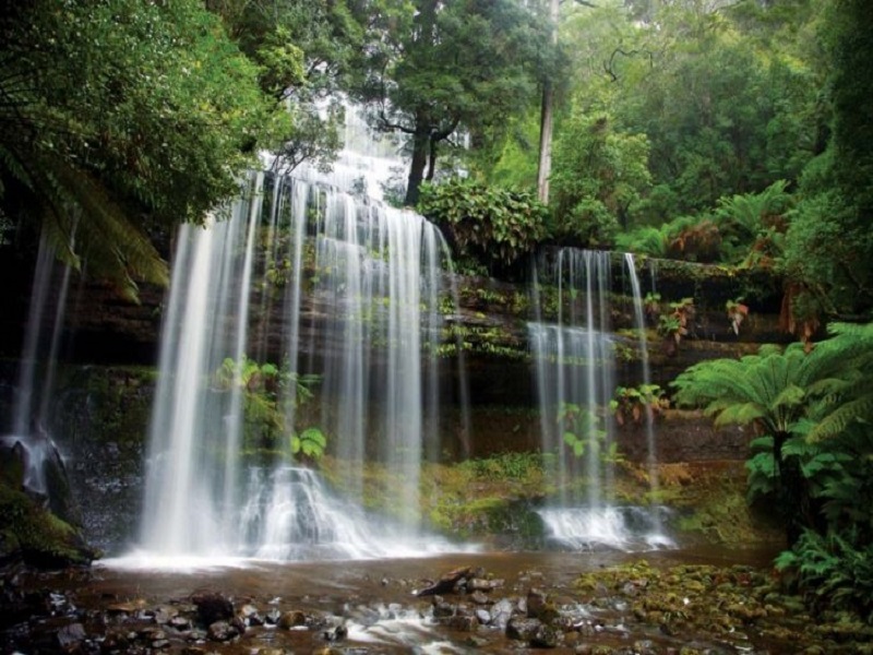 Tasmania Russell Falls Tour