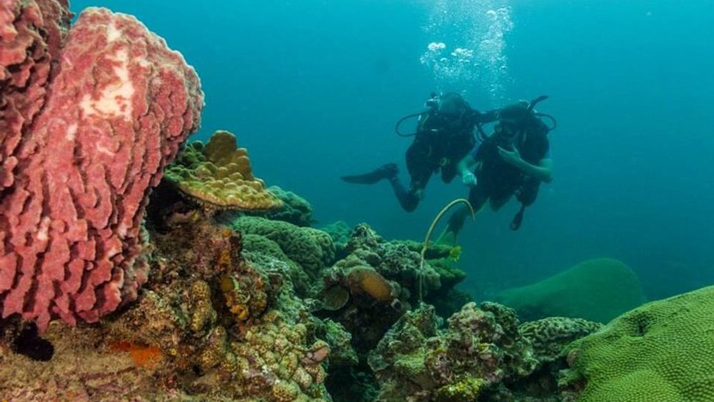 SCUBA Diving Lessons in Koh Lipe