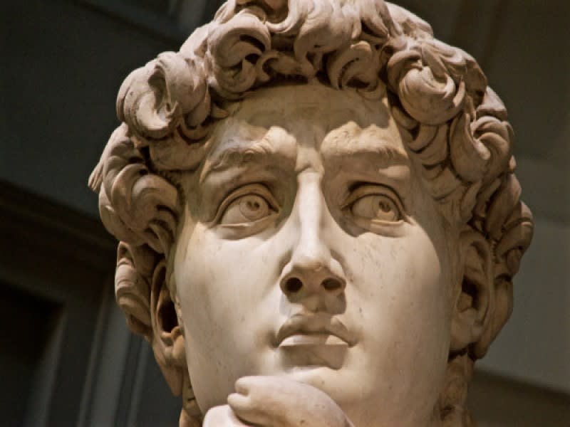 Private Florence the Original David at the Accademia Tour