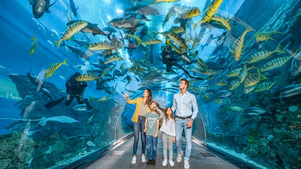Dubai Aquarium & Underwater Zoo: Entry Ticket