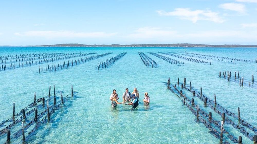 Coffin Bay Oyster Farm and Bay Tour