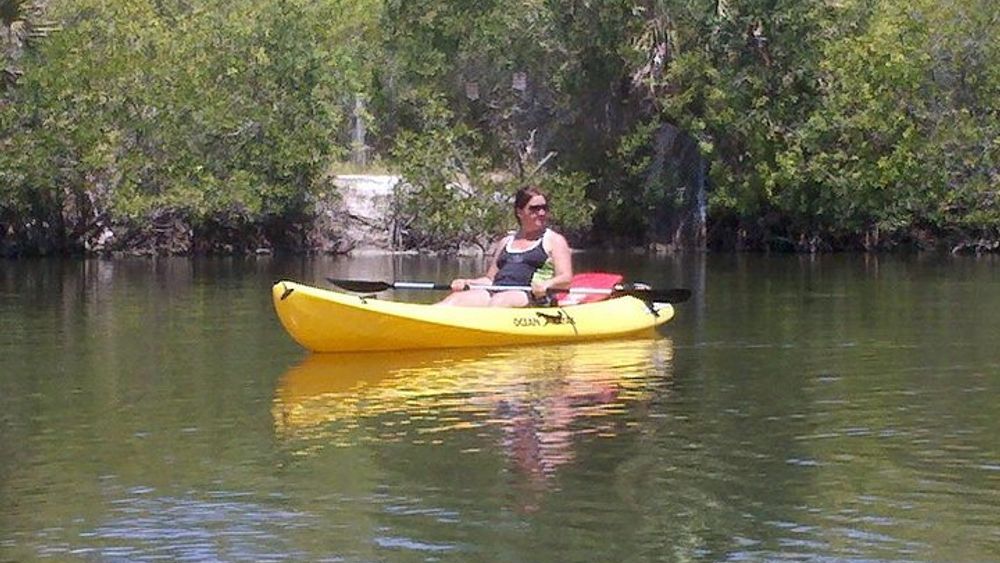 Indian River Lagoon Small-Group Kayak Tour from Merritt Island