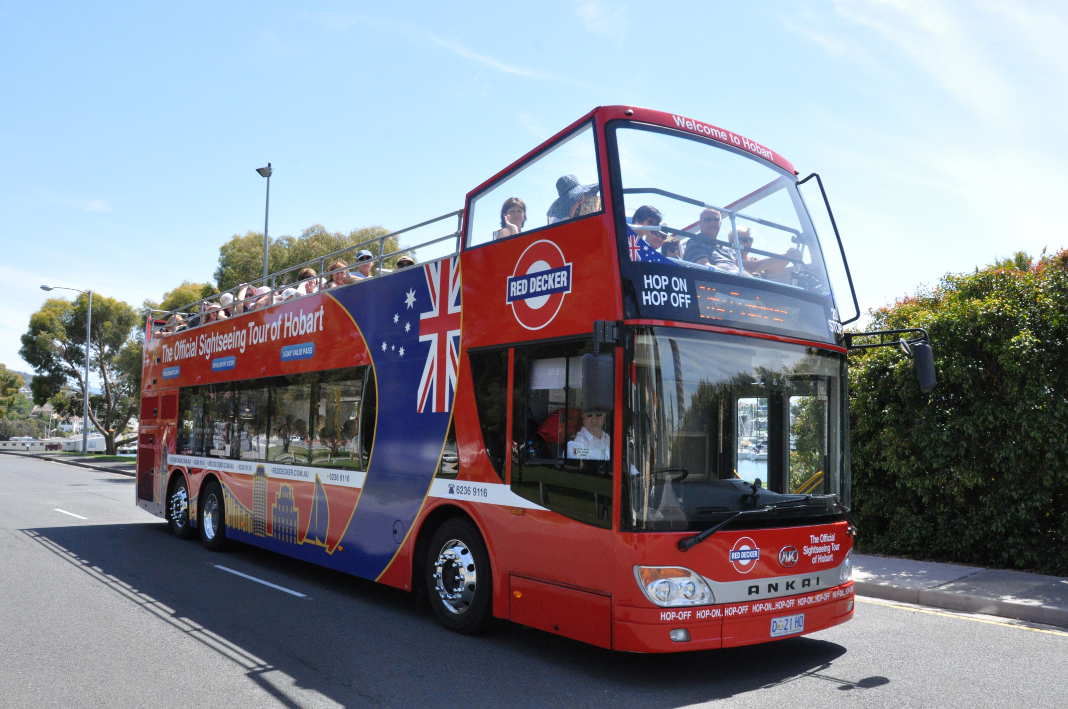 City Loop & Mt. Wellington Tour