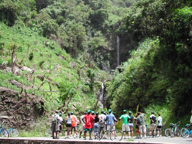 Blue Mountain Bicycle Tour from Kingston