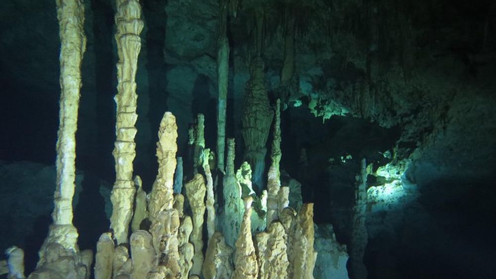 Cenote diving Dream Gate