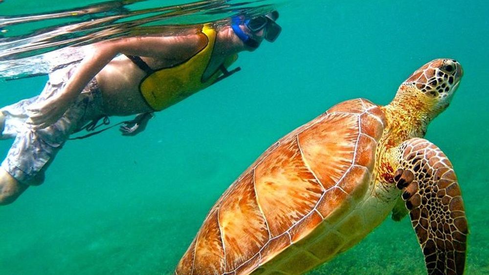 Cenote Hilarios and Akumal Snorkeling Tour