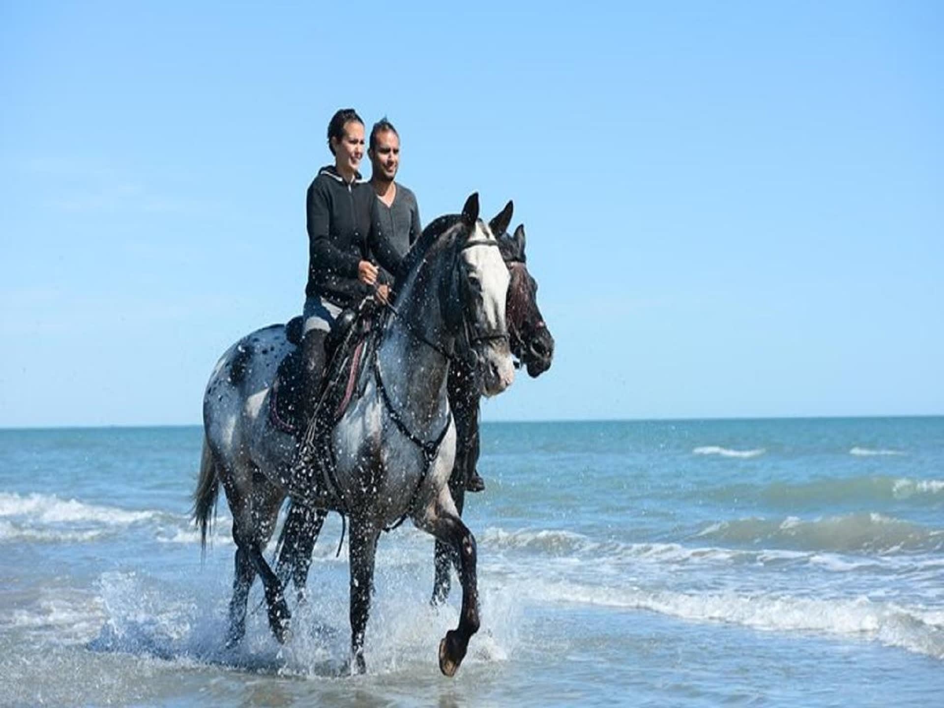 Horse Riding  in Paros