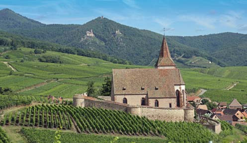 ALSACE VILLAGES HALF DAY SHARED TOUR FROM COLMAR