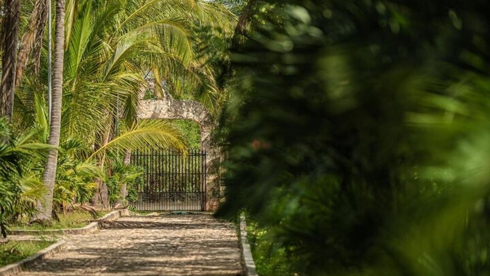 Chichén Itzá Early Access, Ek Balam & Cenote Small Group Tour