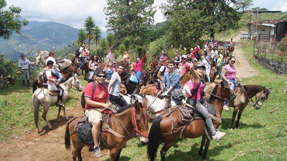 Coffee Tour In Horse Riding and Lunch In Medellin