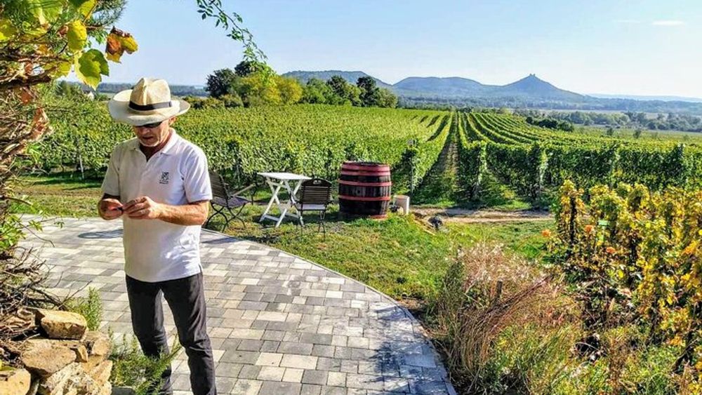 Lake Balaton private wine tasting and sightseeing from Budapest
