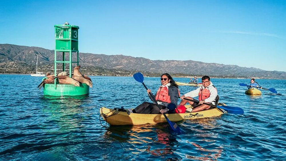 Guided Kayak Wildlife Tour in the Santa Barbara Harbor