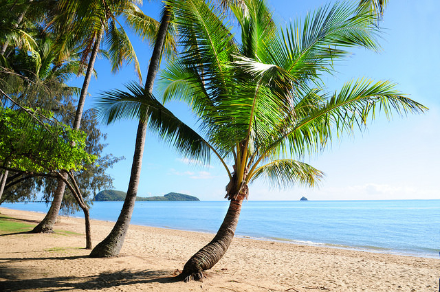 Cairns City Sights Tour - 1/2 day