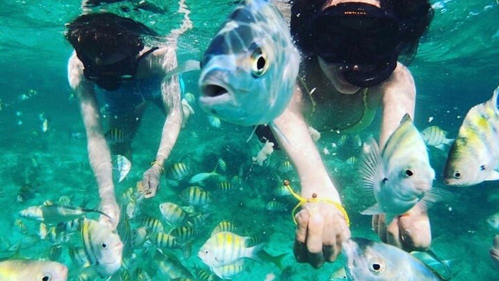 Catamaran Party Boat half day trip with snorkeling and natural pool
