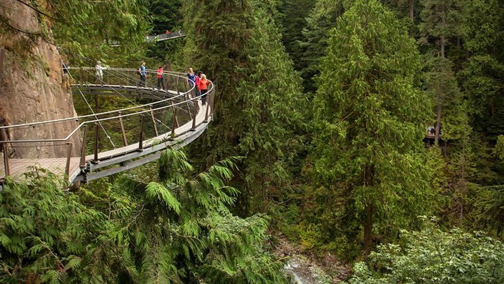 Grouse Mountain & Capilano Suspension Bridge Park