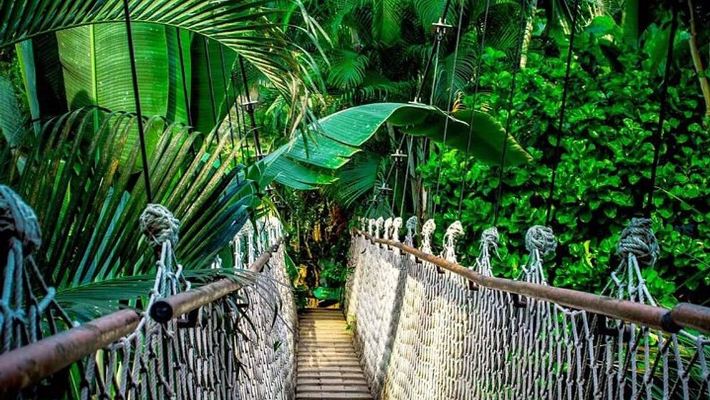 3 in 1 Combo: La Fortuna Waterfall, Hanging Bridges, Thermal Spa from San José