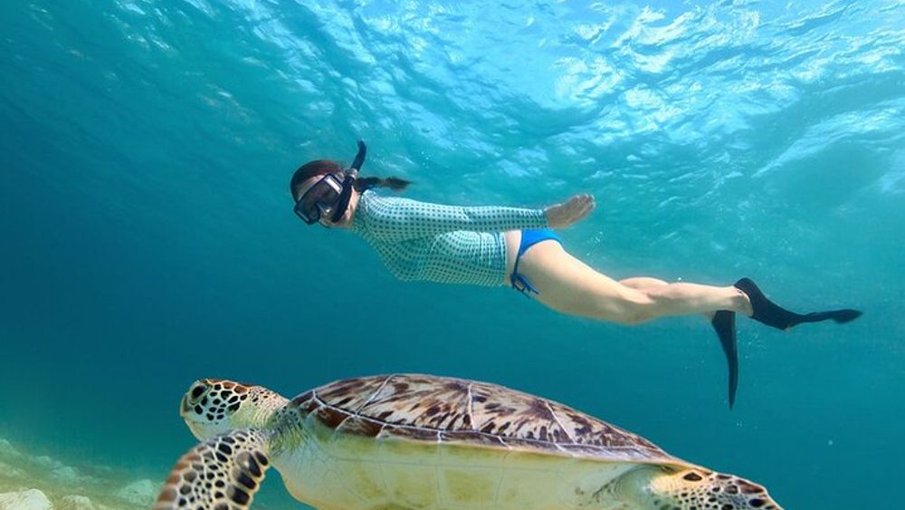 Daymaniat Islands Snorkeling Adventure