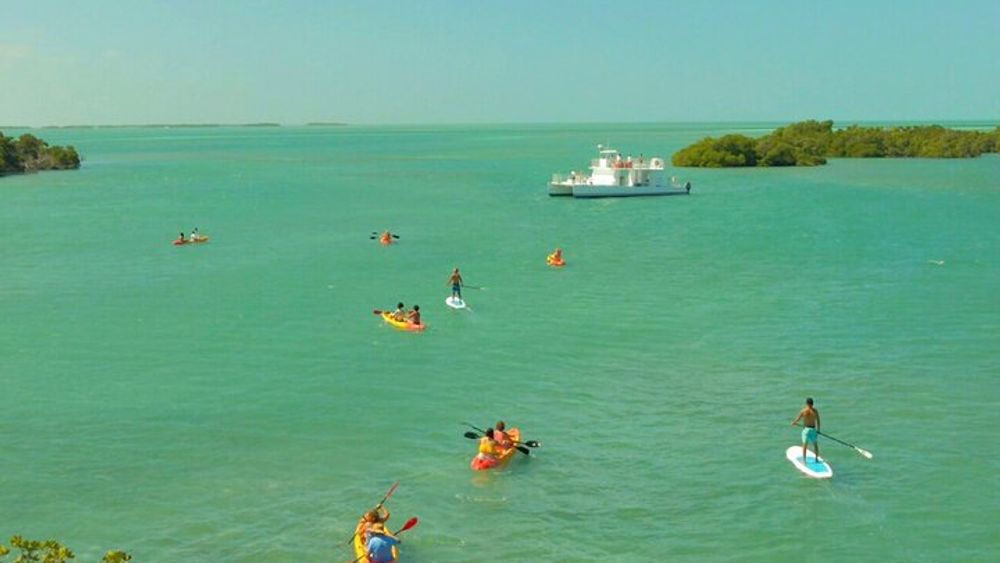 Key West Half-Day Sandbar Adventure & Mangrove Kayak Tour