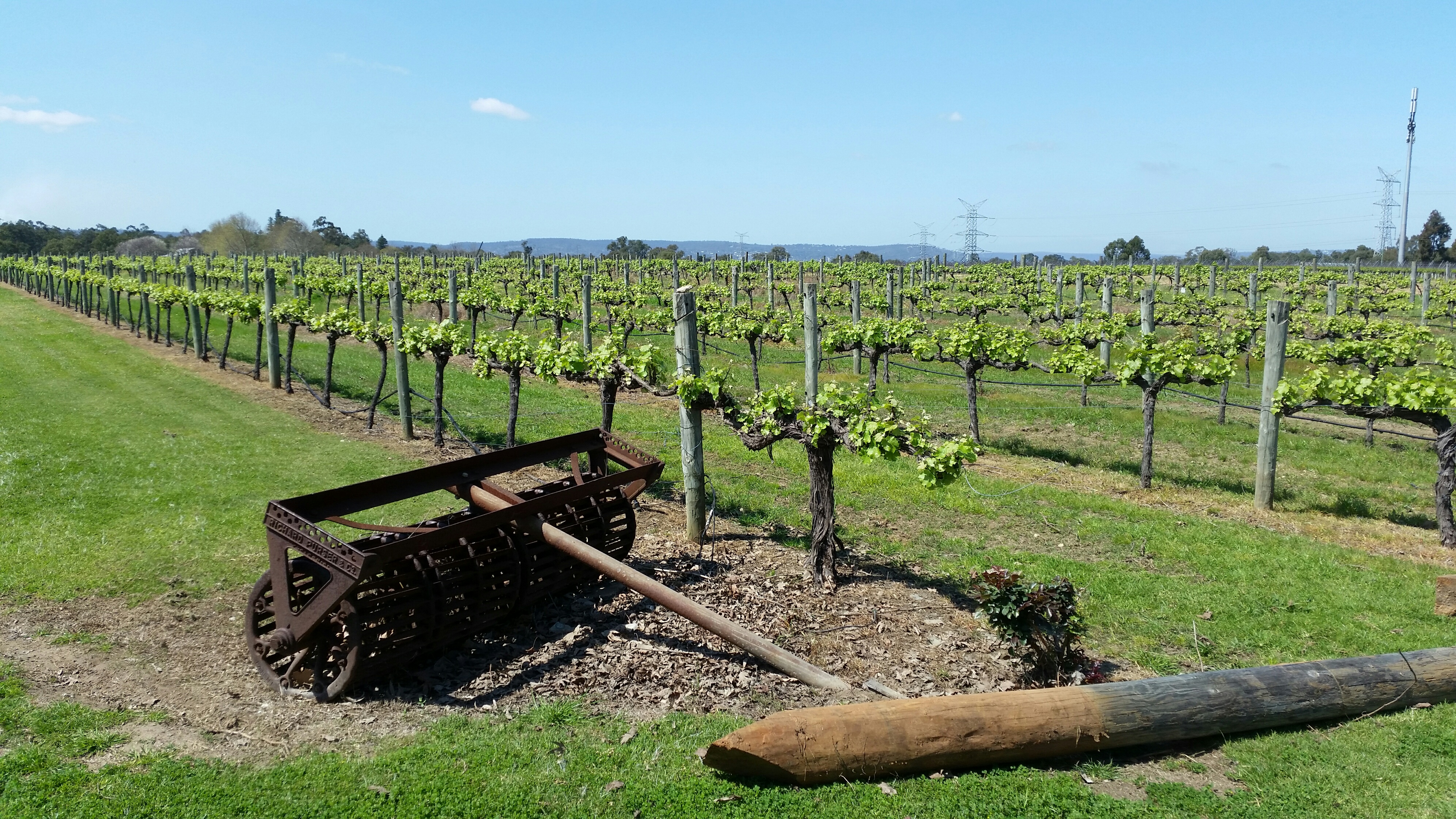 Swan Valley Wine Tour - Full Day