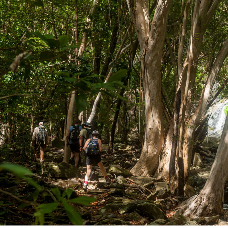 Guided Nature Walk - Full Day