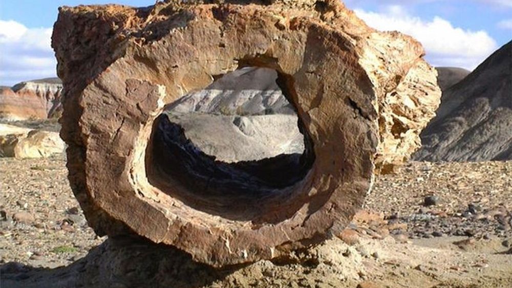 La Leona Petrified Forest Day Trip from El Calafate