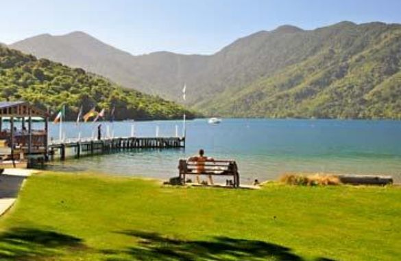 Morning Tea at Punga Cove