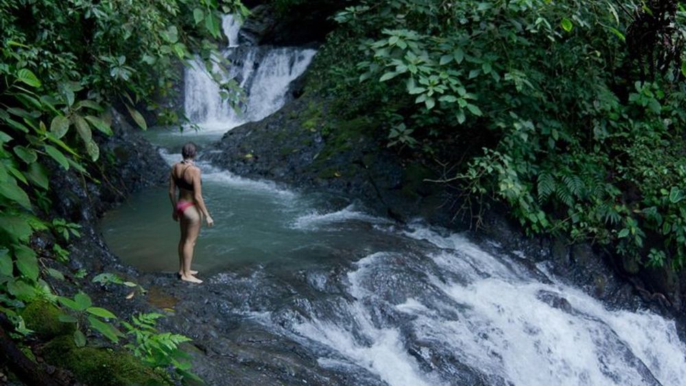 Jaco Rainforest Hiking and Waterfalls Half-Day Tour