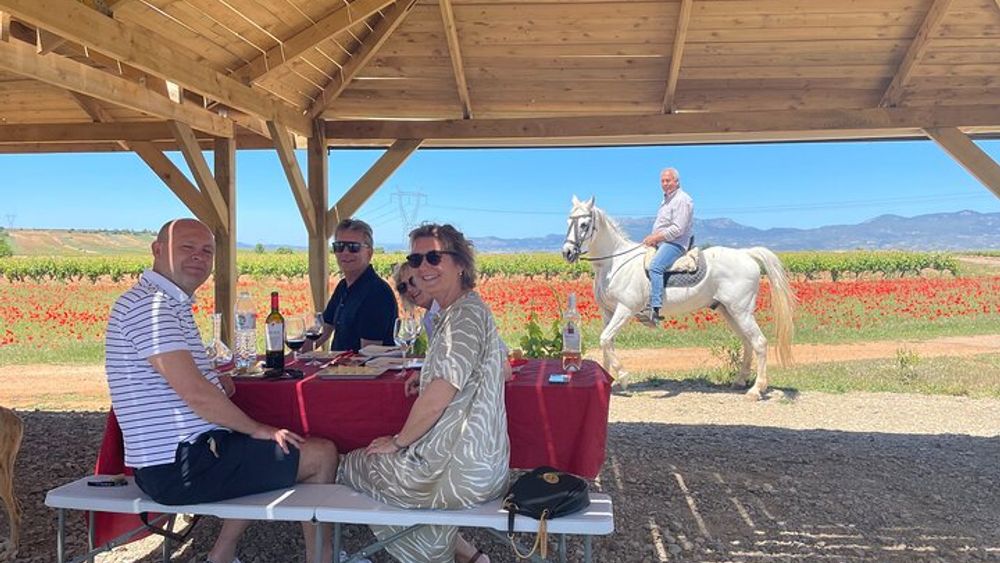Rioja Full-Day Small-Group Wine-Tasting Tour From Bilbao