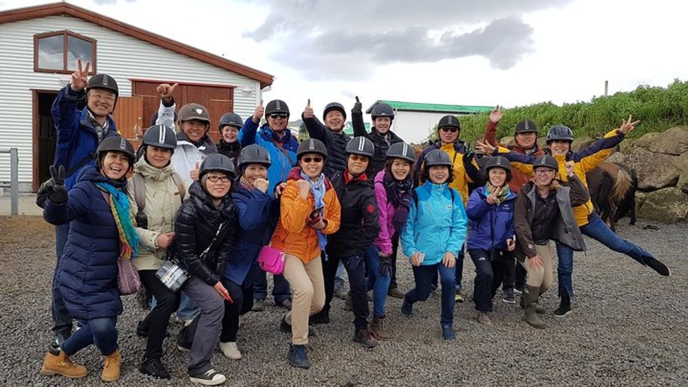 Red Lava Horse Riding Tour From Reykjavik