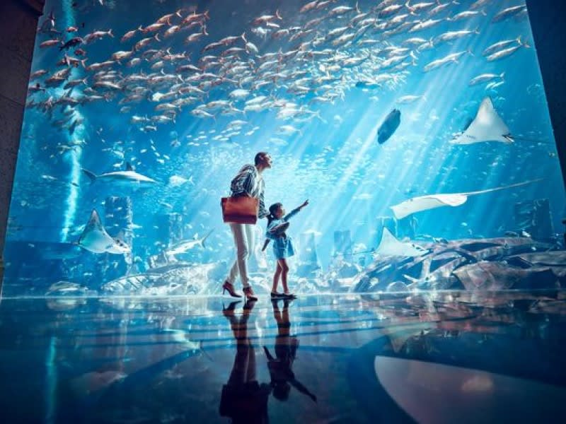 Atlantis Lost Chambers Aquarium Ticket
