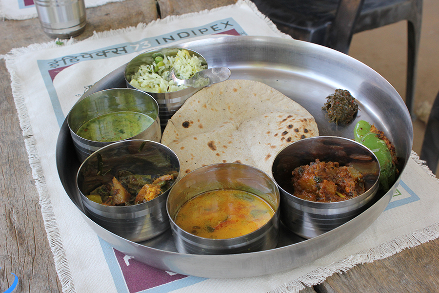 Authentic Farm Experience Outside Jaipur