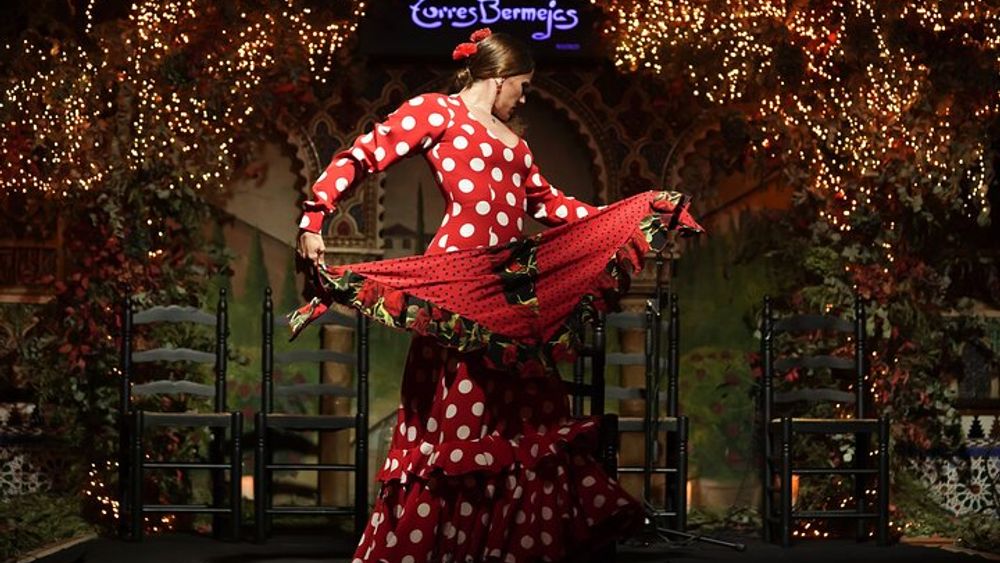 Flamenco Show & Special Menu at Torres Bermejas in Madrid