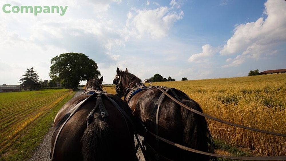 Philadelphia and Amish Country Tour Day Trip from NYC