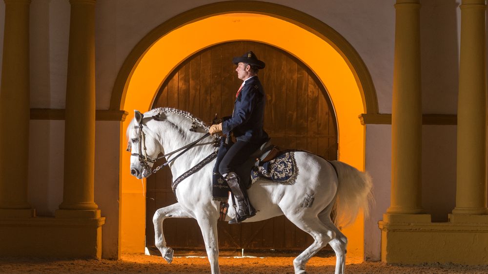 Royal Andalusian School of Equestrian Art: Full Visit