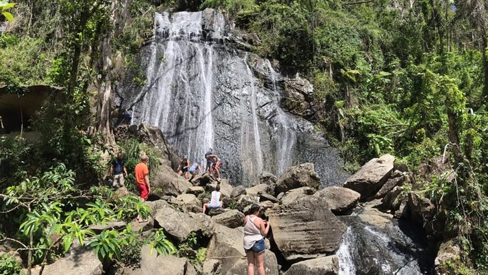 El Yunque Rainforest Hiking Tour from San Juan
