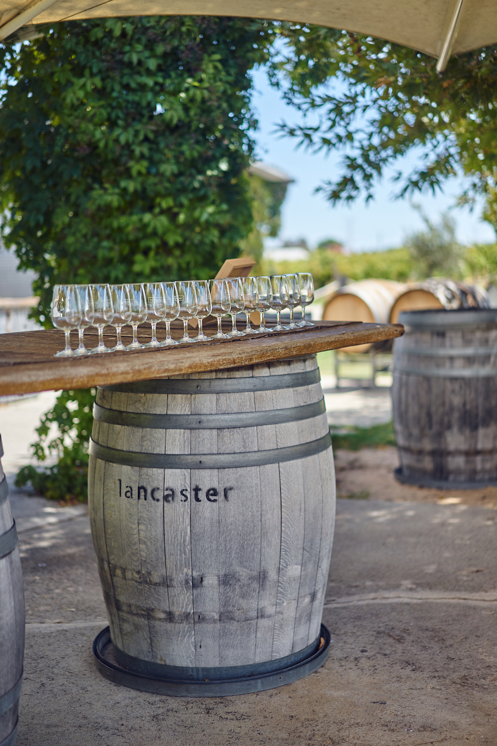 Half Day Swan Valley Wine Tour